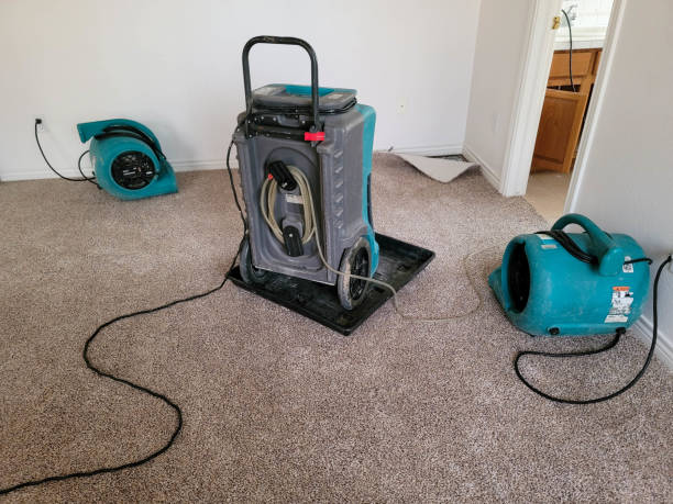 Best Fire Damage Restoration  in Sanibel, FL