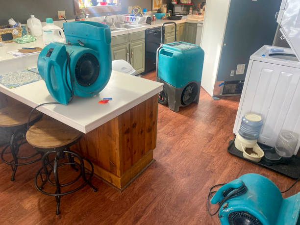  Sanibel, FL Water damage restoration Pros