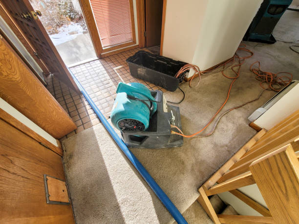 Best Water damage repair service  in Sanibel, FL