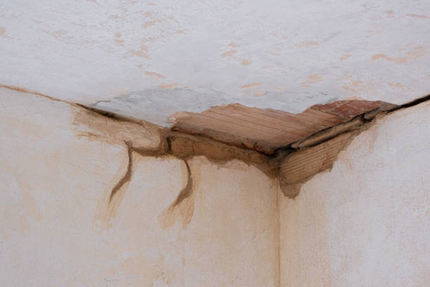 Best Water damage restoration near me  in Sanibel, FL