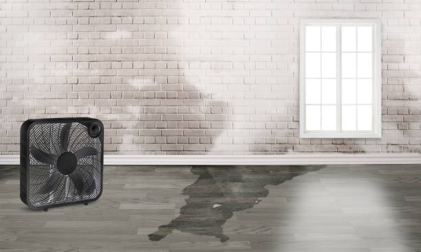 Best Commercial water damage restoration  in Sanibel, FL