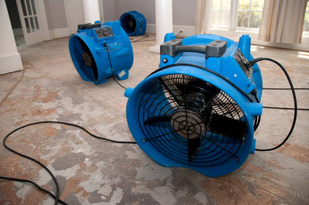 Best Residential water damage restoration  in Sanibel, FL
