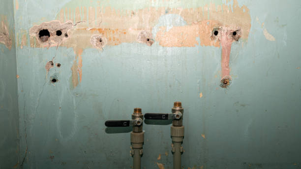 Best Ceiling water damage repair  in Sanibel, FL
