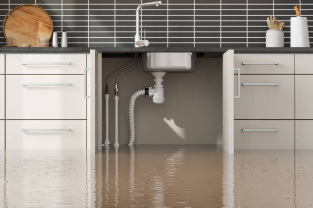 Best Commercial water damage restoration  in Sanibel, FL