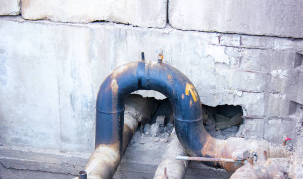 Best Carpet water damage restoration  in Sanibel, FL