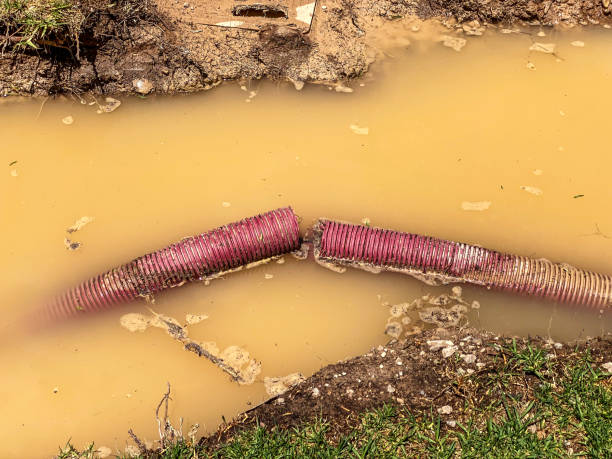 Best Emergency water damage restoration  in Sanibel, FL