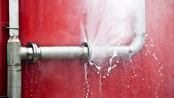 Best Carpet water damage restoration  in Sanibel, FL